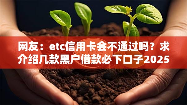 网友:etc信用卡会不通过吗?求介绍几款黑户借款必下口子2025 网友:etc信用卡会不通过吗?求介绍几款黑户借款必下口子2025