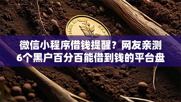 微信小程序借钱提醒？网友亲测6个黑户百分百能借到钱的平台盘点