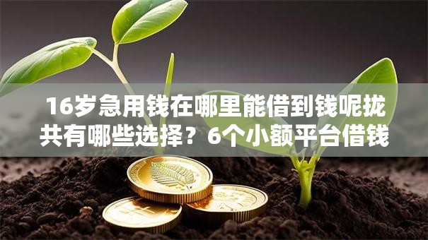 16岁急用钱在哪里能借到钱呢拢共有哪些选择?6个小额平台借钱容易通过不看征信详解 16岁急用钱在哪里能借到钱呢拢共有哪些选择?6个小额平台借钱容易通过不看征信详解