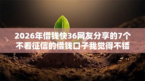 2026年借钱快36网友分享的7个不看征信的借钱口子我觉得不错！