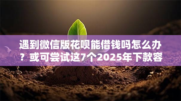 遇到微信版花呗能借钱吗怎么办？或可尝试这7个2025年下款容易的平台