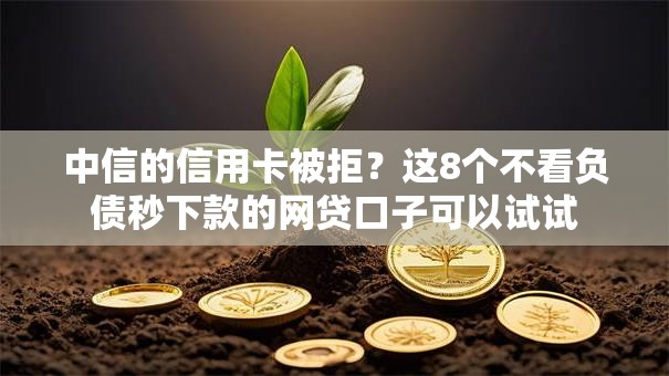 中信的信用卡被拒？这8个不看负债秒下款的网贷口子可以试试