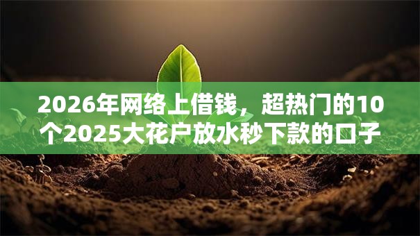 2026年网络上借钱，超热门的10个2025大花户放水秒下款的口子推荐