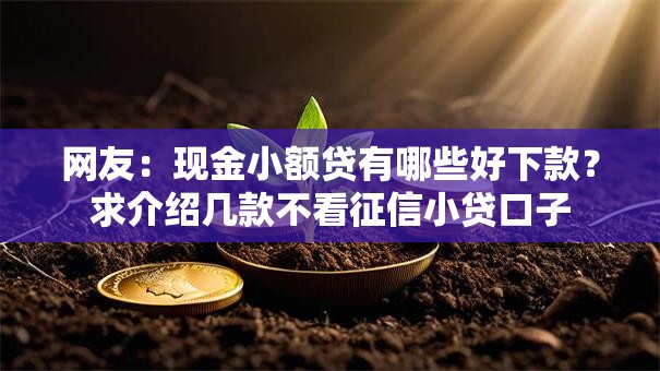 网友:现金小额贷有哪些好下款?求介绍几款不看征信小贷口子 网友:现金小额贷有哪些好下款?求介绍几款不看征信小贷口子