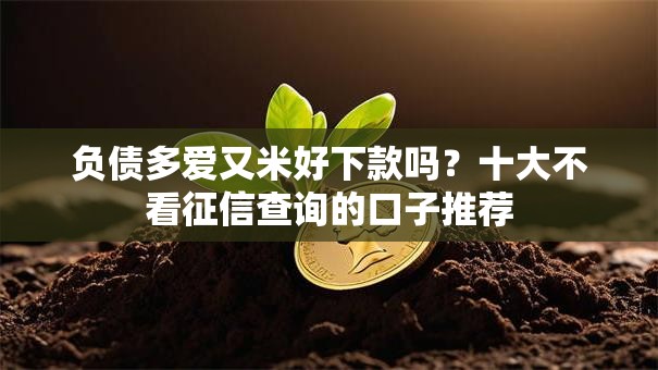 负债多爱又米好下款吗？十大不看征信查询的口子推荐