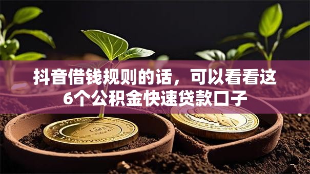 抖音借钱规则的话,可以看看这6个公积金快速贷款口子 抖音借钱规则的话,可以看看这6个公积金快速贷款口子