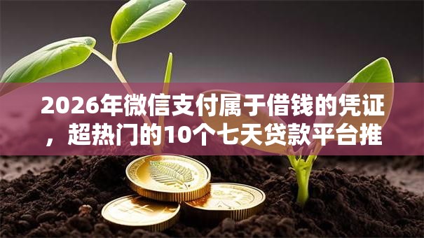 2026年微信支付属于借钱的凭证，超热门的10个七天贷款平台推荐