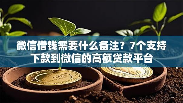 微信借钱需要什么备注?7个支持下款到微信的高额贷款平台 微信借钱需要什么备注?7个支持下款到微信的高额贷款平台