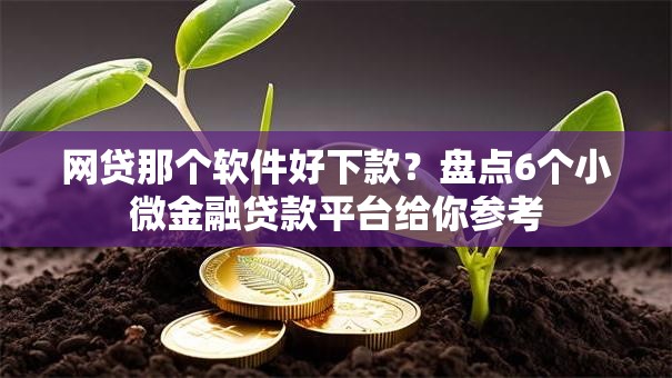 网贷那个软件好下款？盘点6个小微金融贷款平台给你参考