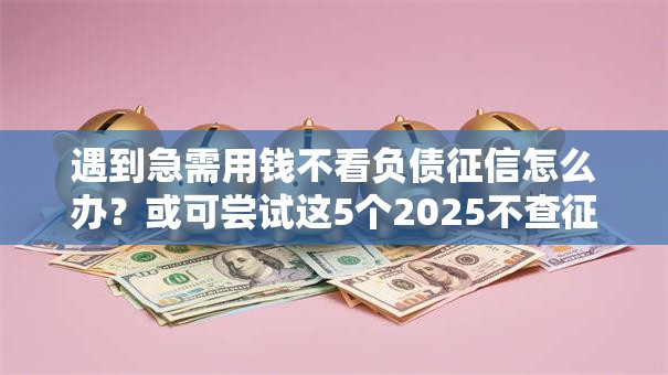 遇到急需用钱不看负债征信怎么办？或可尝试这5个2025不查征信能下款的平台