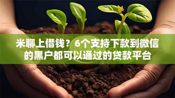 米聊上借钱？6个支持下款到微信的黑户都可以通过的贷款平台