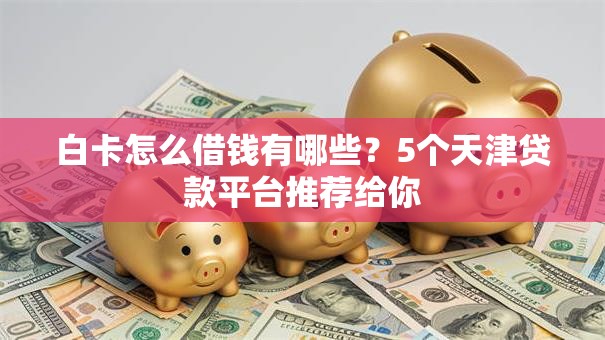 白卡怎么借钱有哪些？5个天津贷款平台推荐给你