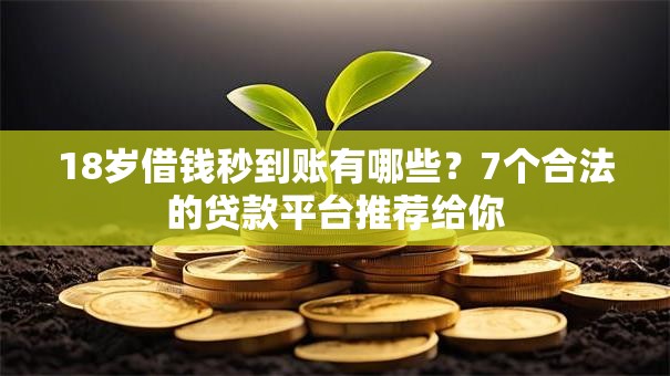 18岁借钱秒到账有哪些？7个合法的贷款平台推荐给你