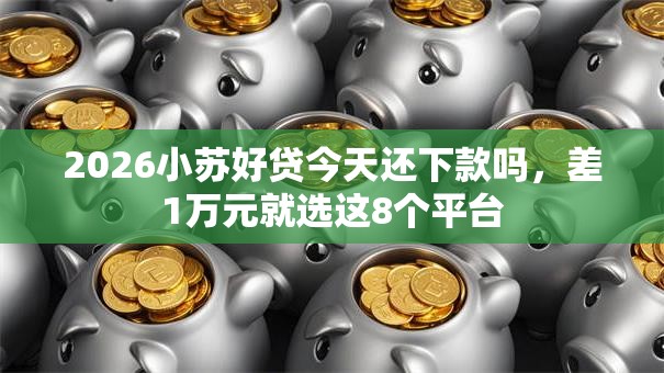 2026小苏好贷今天还下款吗，差1万元就选这8个平台