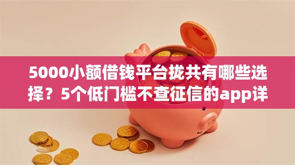 5000小额借钱平台拢共有哪些选择？5个低门槛不查征信的app详解