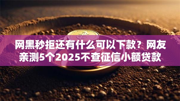 网黑秒拒还有什么可以下款？网友亲测5个2025不查征信小额贷款必下口子盘点