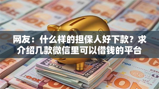 网友：什么样的担保人好下款？求介绍几款微信里可以借钱的平台