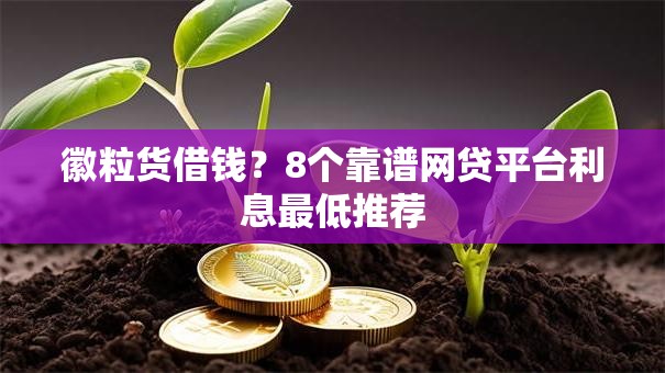 徽粒货借钱？8个靠谱网贷平台利息最低推荐