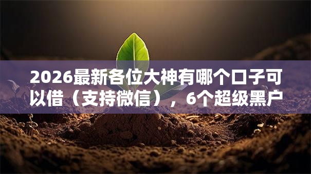 2026最新各位大神有哪个口子可以借（支持微信），6个超级黑户包下款无私分享