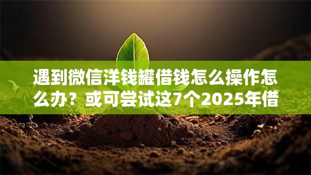 遇到微信洋钱罐借钱怎么操作怎么办？或可尝试这7个2025年借贷新口子
