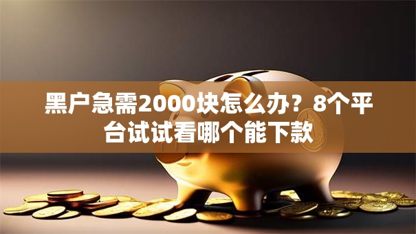 黑户急需2000块怎么办？8个平台试试看哪个能下款