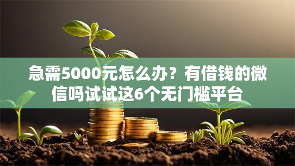 急需5000元怎么办?有借钱的微信吗试试这6个无门槛平台 急需5000元怎么办?有借钱的微信吗试试这6个无门槛平台