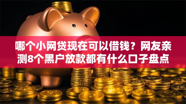 哪个小网贷现在可以借钱?网友亲测8个黑户放款都有什么口子盘点 哪个小网贷现在可以借钱?网友亲测8个黑户放款都有什么口子盘点