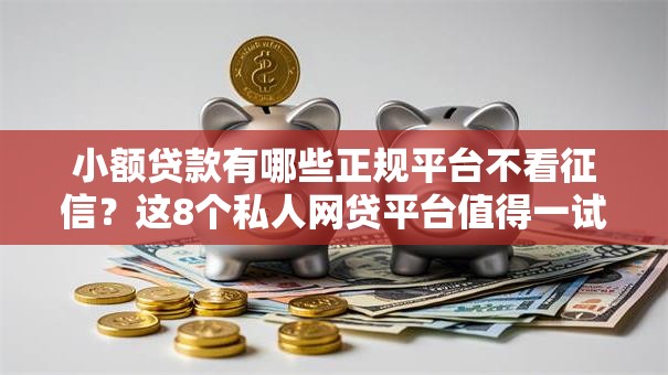 小额贷款有哪些正规平台不看征信？这8个私人网贷平台值得一试