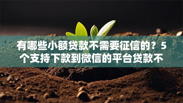 有哪些小额贷款不需要征信的?5个支持下款到微信的平台贷款不看征信 有哪些小额贷款不需要征信的?5个支持下款到微信的平台贷款不看征信