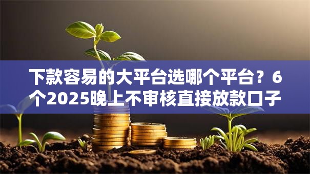 下款容易的大平台选哪个平台？6个2025晚上不审核直接放款口子推荐