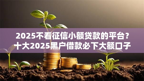 2025不看征信小额贷款的平台?十大2025黑户借款必下大额口子推荐 2025不看征信小额贷款的平台?十大2025黑户借款必下大额口子推荐