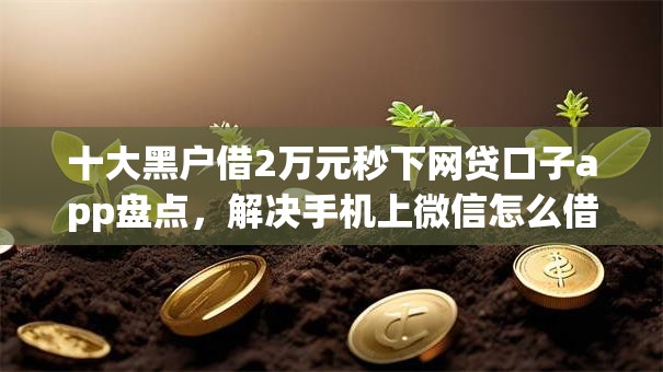 十大黑户借2万元秒下网贷口子app盘点，解决手机上微信怎么借钱的的问题