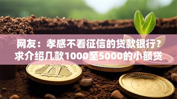 网友:孝感不看征信的贷款银行?求介绍几款1000至5000的小额贷款平台 网友:孝感不看征信的贷款银行?求介绍几款1000至5000的小额贷款平台