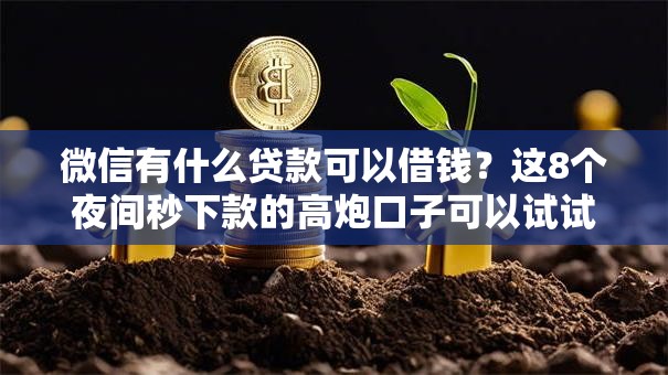 微信有什么贷款可以借钱？这8个夜间秒下款的高炮口子可以试试
