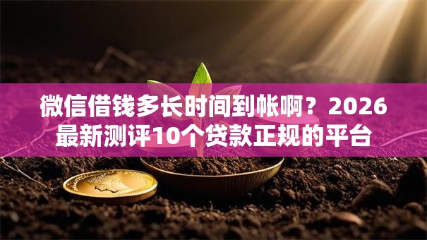 微信借钱多长时间到帐啊？2026最新测评10个贷款正规的平台
