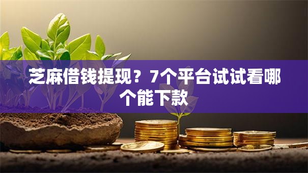 芝麻借钱提现？7个平台试试看哪个能下款