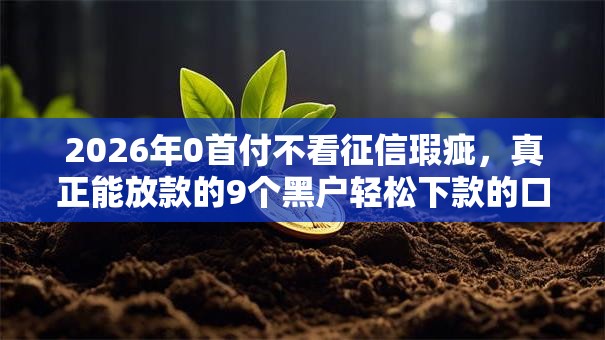 2026年0首付不看征信瑕疵，真正能放款的9个黑户轻松下款的口子推荐