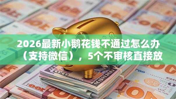 2026最新小鹅花钱不通过怎么办（支持微信），5个不审核直接放款的软件无私分享