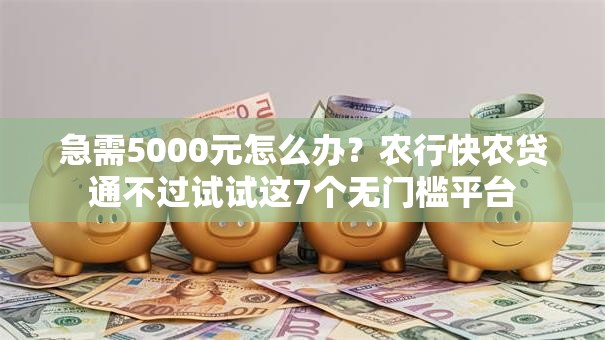 急需5000元怎么办?农行快农贷通不过试试这7个无门槛平台 急需5000元怎么办?农行快农贷通不过试试这7个无门槛平台
