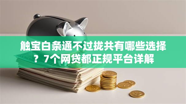 触宝白条通不过拢共有哪些选择？7个网贷都正规平台详解