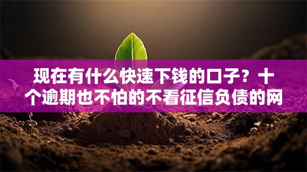 现在有什么快速下钱的口子？十个逾期也不怕的不看征信负债的网贷百分百下款软件