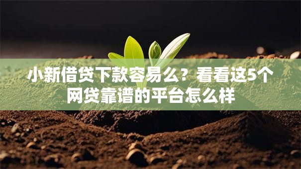 小新借贷下款容易么？看看这5个网贷靠谱的平台怎么样