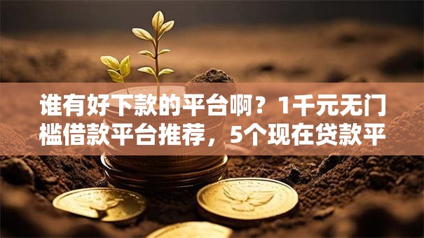 谁有好下款的平台啊？1千元无门槛借款平台推荐，5个现在贷款平台好盘点