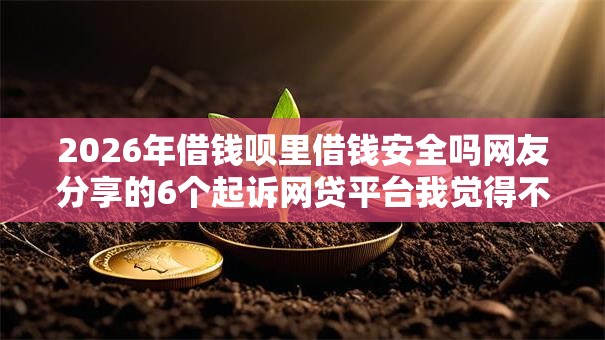 2026年借钱呗里借钱安全吗网友分享的6个起诉网贷平台我觉得不错！