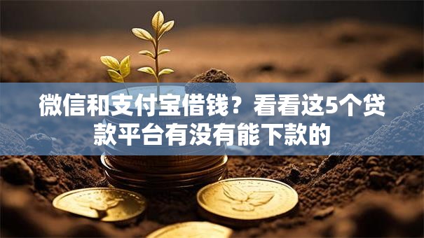 微信和支付宝借钱？看看这5个贷款平台有没有能下款的
