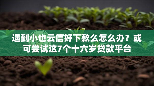 遇到小也云信好下款么怎么办？或可尝试这7个十六岁贷款平台
