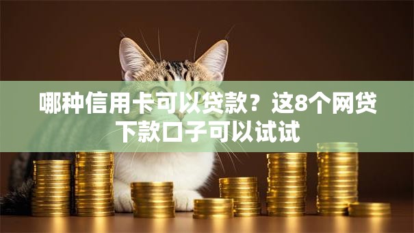 哪种信用卡可以贷款？这8个网贷下款口子可以试试