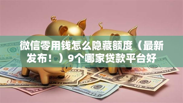 微信零用钱怎么隐藏额度（最新发布！）9个哪家贷款平台好