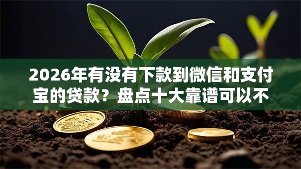 2026年有没有下款到微信和支付宝的贷款?盘点十大靠谱可以不看征信就能下款的软件 2026年有没有下款到微信和支付宝的贷款?盘点十大靠谱可以不看征信就能下款的软件