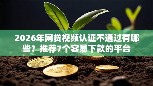 2026年网贷视频认证不通过有哪些？推荐7个容易下款的平台